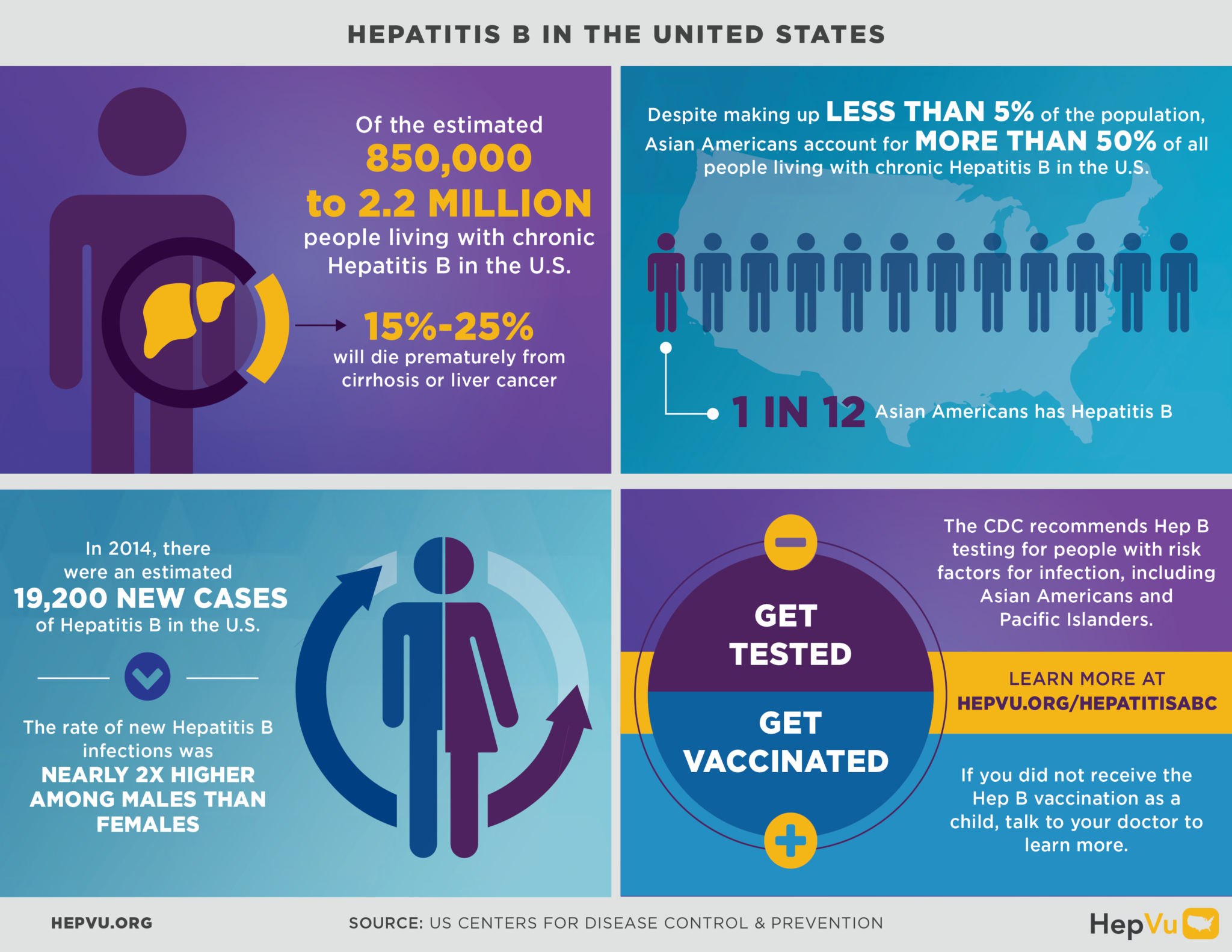hepatitis b Hepatitis b is a potentially serious form of liver inflammation due to infection by the hepatitis b virus (hbv) it occurs in both rapidly developing (acute) and long-lasting (chronic) forms, and is one of the most common chronic infectious diseases worldwide. hepatitis b Hepatitis b is a potentially serious form of liver inflammation due to infection by the hepatitis b virus (hbv) it occurs in both rapidly developing (acute) and long-lasting (chronic) forms, and is one of the most common chronic infectious diseases worldwide.